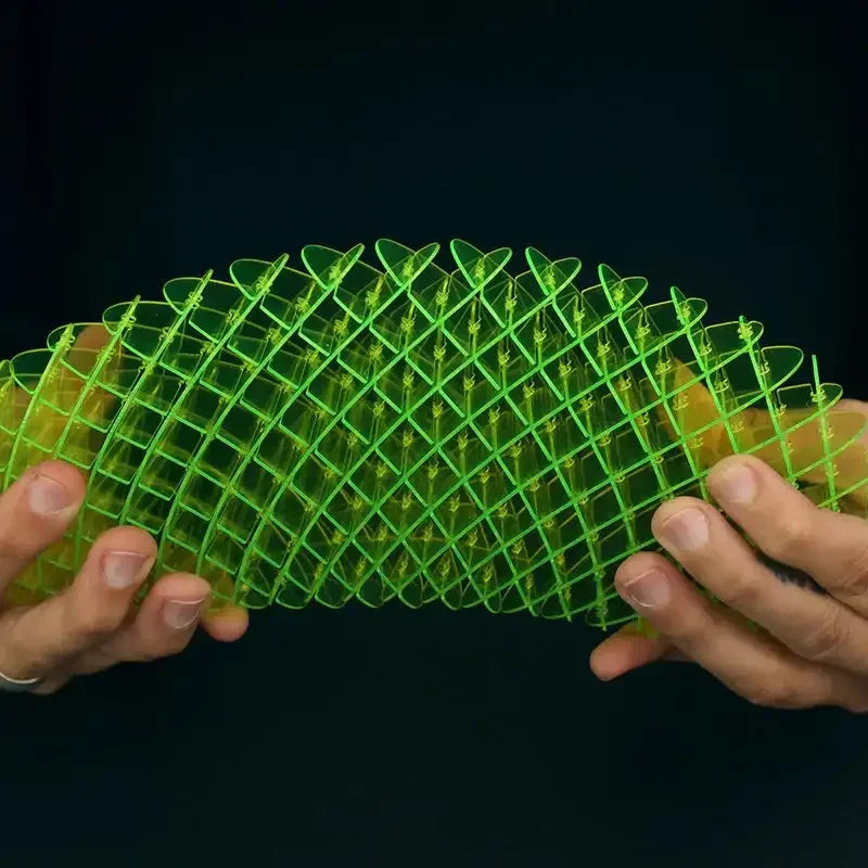 Worm Big Fidget Toy - Morphing Stress Relief Squishy Worms