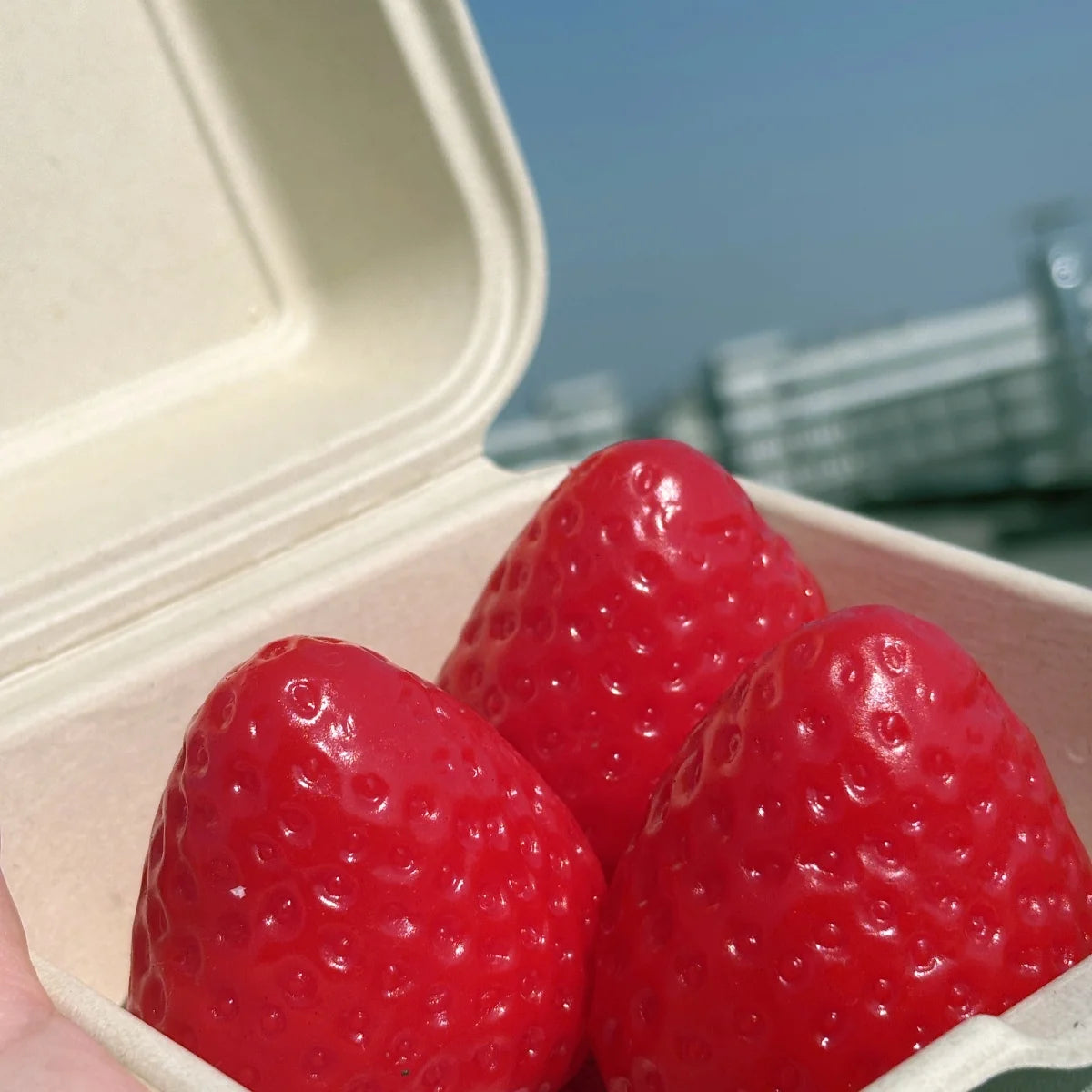Strawberry Pinch Toy - Relaxed Fingertip Stress Relief Toy for Kids and Adults